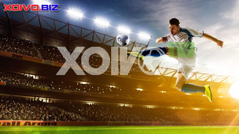 Bet66 sẽ tặng các cược miễn phí trị giá 88000 - Bet66
