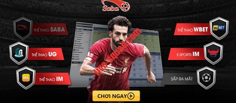 U888 Live là một nền tảng cá cược phổ biến trên toàn cầu - U888