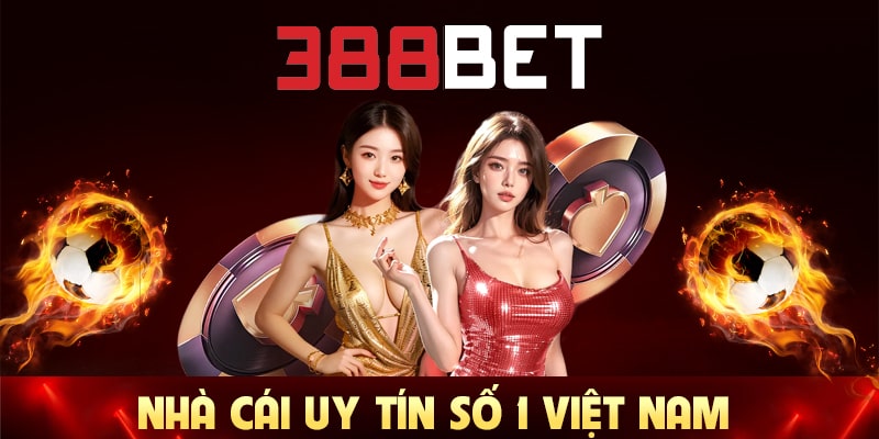 Vui lòng liên hệ với Vbo99 qua email - Vbo99