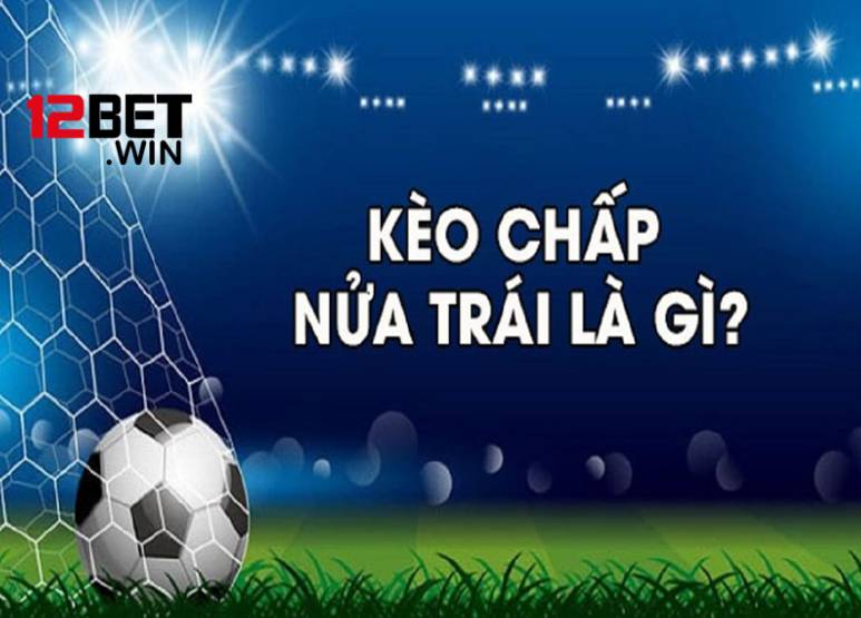 Khám phá những ưu đãi tuyệt vời trên 100Bet Online - 100Bet