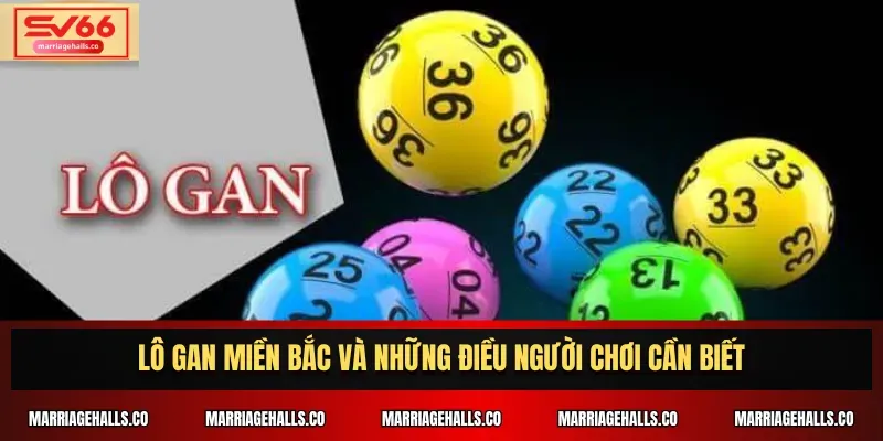 Chương trình khuyến mãi Cmd368 mang đến nhiều ưu đãi giảm giá cho khách hàng - Cmd368