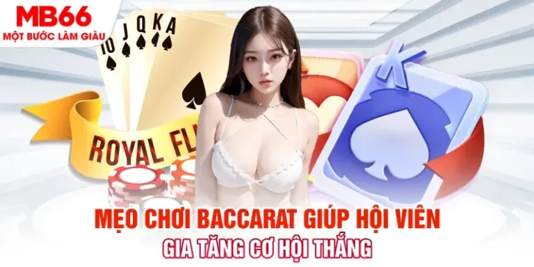 Giới thiệu về Sảnh Cá cược 33King - 33King