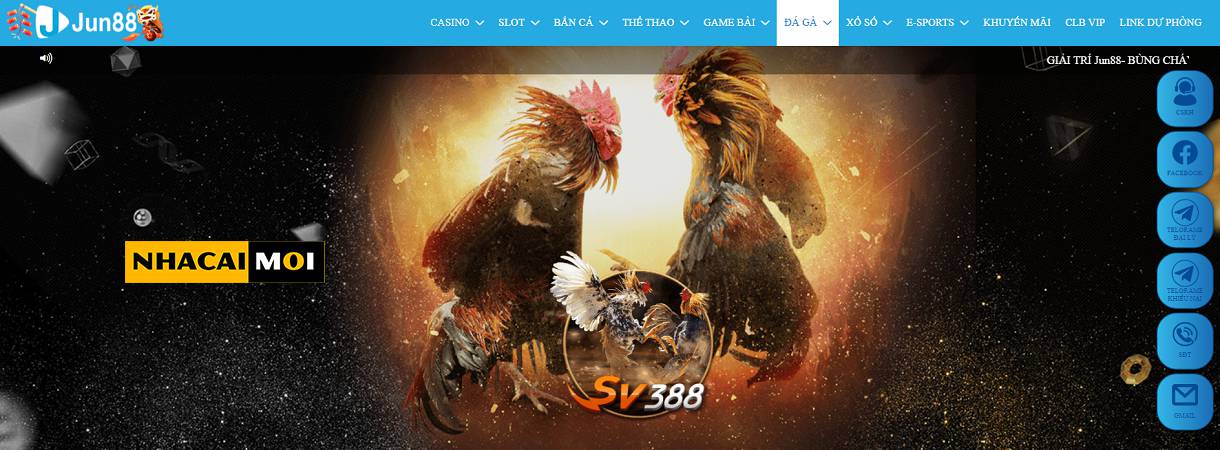 Thống kê For88 trên trang web game For88 - For88