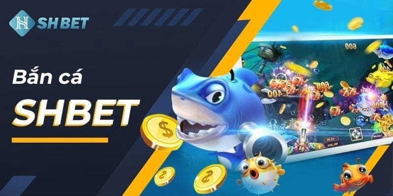 Thông tin an toàn cơ bản của Sun52 - Sun52