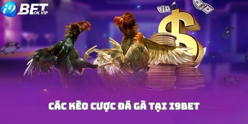 Trang web chơi game trực tuyến cấp Banca30 cung cấp các tính năng vượt trội - Banca30