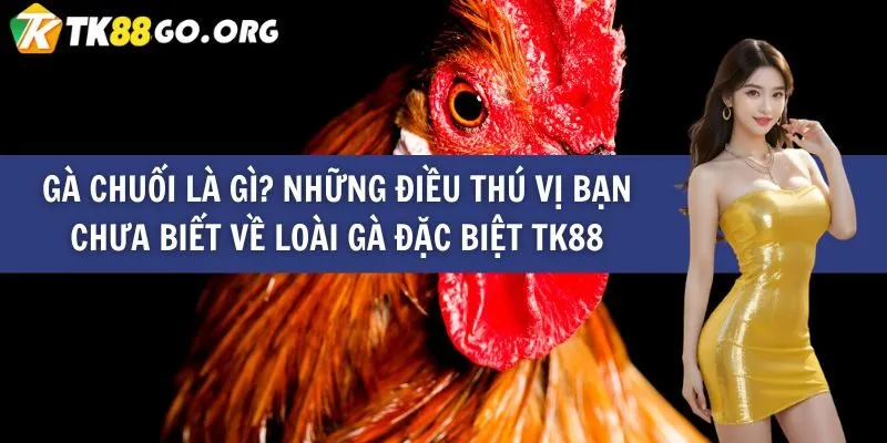 Mm88 Life – Trang web chính thức của nhà phát hành game Mm88 - Mm88